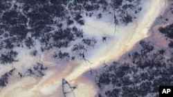 Oil is seen on the creek water's surface near an illegal oil refinery in Ogoniland (file photo)