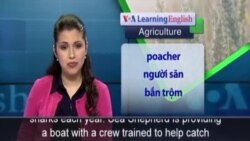 Anh ngữ đặc biệt: Senegal Illegal Fishing (VOA-Ag)