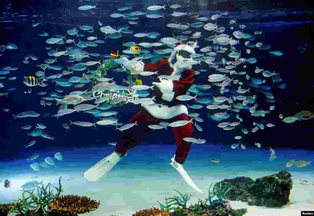 Un buzo con disfraz de Pap&#225; Noel nada en una gran pecera durante una actuaci&#243;n bajo el agua para la celebraci&#243;n navide&#241;a en el Sunshine Aquarium de Tokio, Jap&#243;n, 4 de diciembre de 2020. [Reuters].