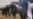 Top Rebel Leader Among Dead in Syria Blast