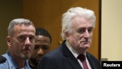 Radovan karadžić u sudnici Haškog tribunala (Foto: Reuters/Peter Dejong)