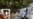 US House Passes $25B in Emergency Postal Service Funding