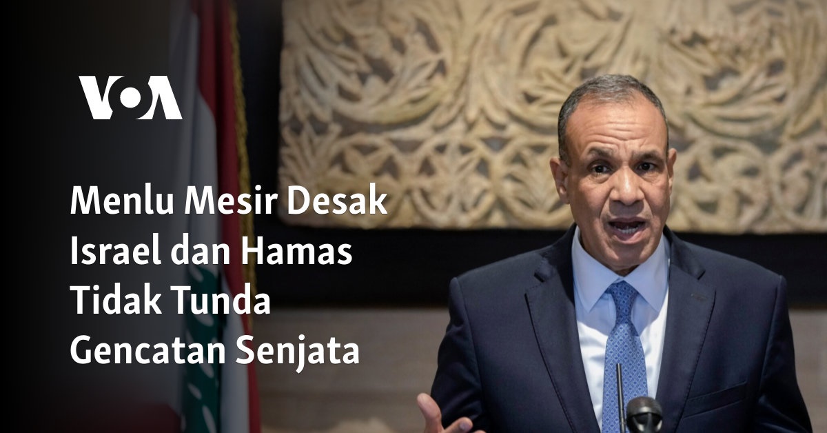 Menlu Mesir Desak Israel dan Hamas Tidak Tunda  Gencatan Senjata