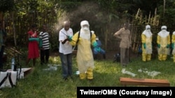 Selon l'Organisation mondiale de la Sante, l'épidémie d’Ebola en cours dans la région de Beni présente des risques élevés à l’échelle de la RDD et de la région, 18 août 2016. (Twitter/OMS)