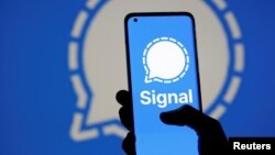 通讯应用软件Signal