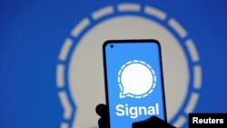 通訊應用軟件Signal