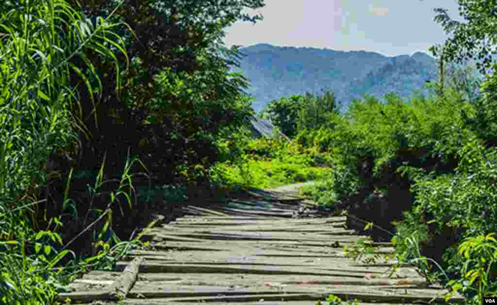 پل چوبی روستای کوشالشاه لنگرود عکس: میثم پاینده (ارسالی شما) 