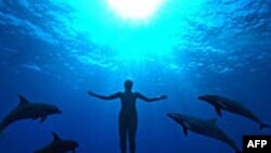 Phim The Cove đoạt giải Oscar về phim tài liệu hay nhất