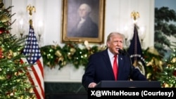 2025年12月17日，特朗普总统发表全国讲话，重点介绍其政府上任11个月以来的成就。