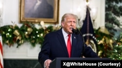 2025年12月17日，特朗普总统发表全国讲话，重点介绍其政府上任11个月以来的成就。