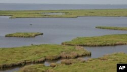 Wetlands