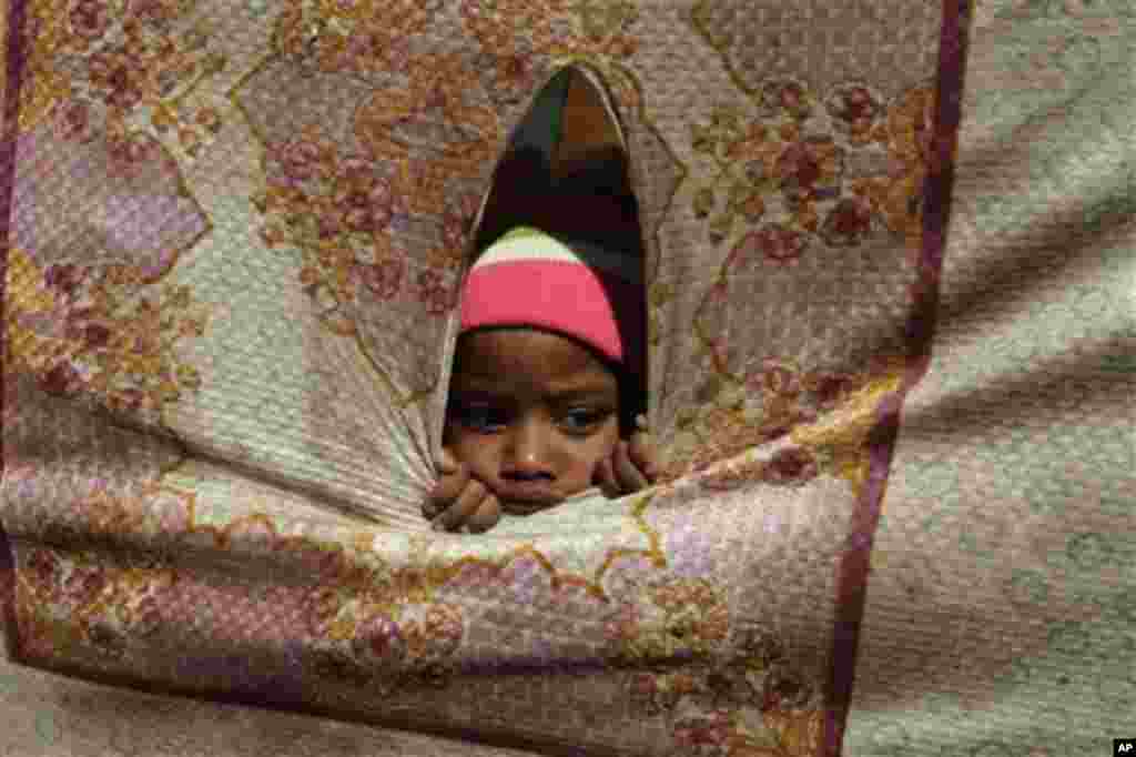 A boy peeks inside a tent where the carcass of whale shark is being kept in Karachi, Pakistan, Thursday, Feb. 9, 2012.