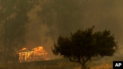 Api melalap wilayah Escondido, California, yang memaksa ribuan orang meninggalkan rumah mereka (15/5/2014). 