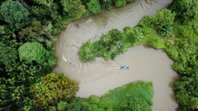 Một cánh rừng thuộc tỉnh Aceh, Indonesia 