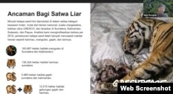 : Juru Kampanye Hutan Greenpeace Indonesia, Arie Rompas menjelaskan dampak kebun sawit terhadap satwa liar dalam Peluncuran Laporan Sawit Ilegal Dalam Kawasan Hutan : Karpet Merah Oligarki, Kamis (21/10/2021). (VOA)