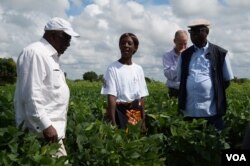 Farmer Patricia Jere stands in her soya field as she briefs IFAD president Kanayo Nwanze --left-- on how she has benefited from the RLEEP program. (Photo: Lameck Masina for VOA)