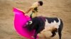 Spanish Bullfighter Gored to Death in Ring