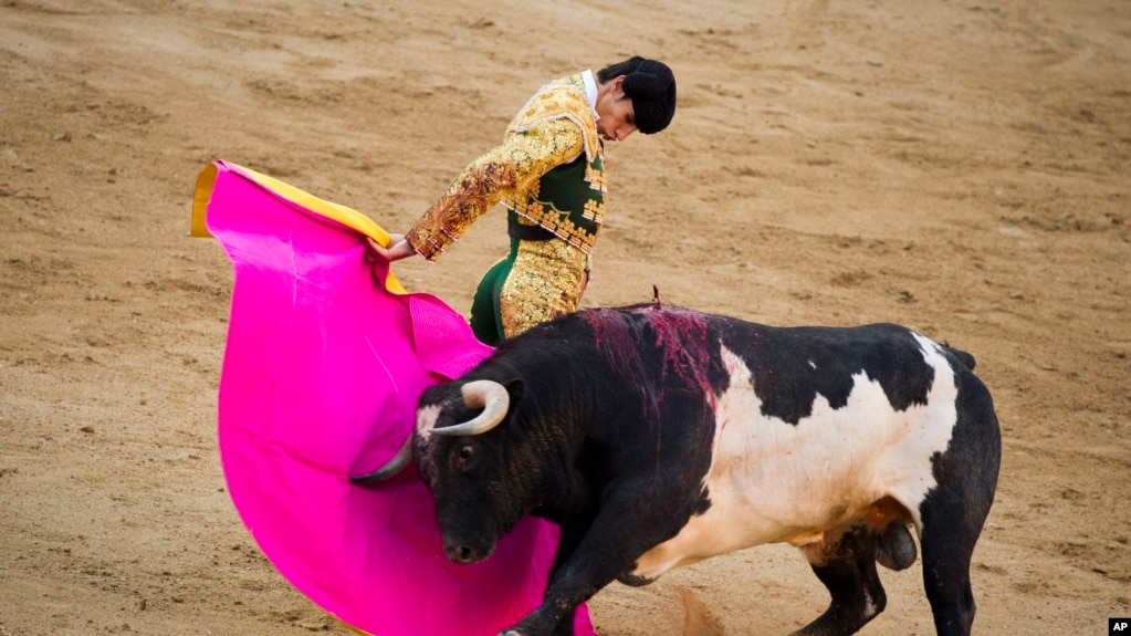 资料照：西班牙斗牛士在马德里的拉斯班塔斯斗牛场表演斗牛。 (photo:VOA)