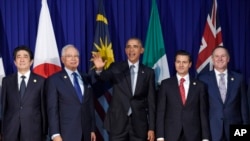 FILE - President Barack Obama (c) and other leaders of the Trans-Pacific Partnership countries pose for a photo in Manila, Philippines, Nov. 18, 2015.