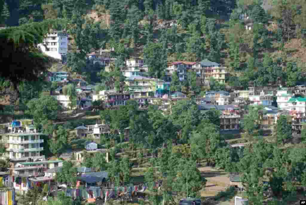 達蘭薩拉的山城風貎