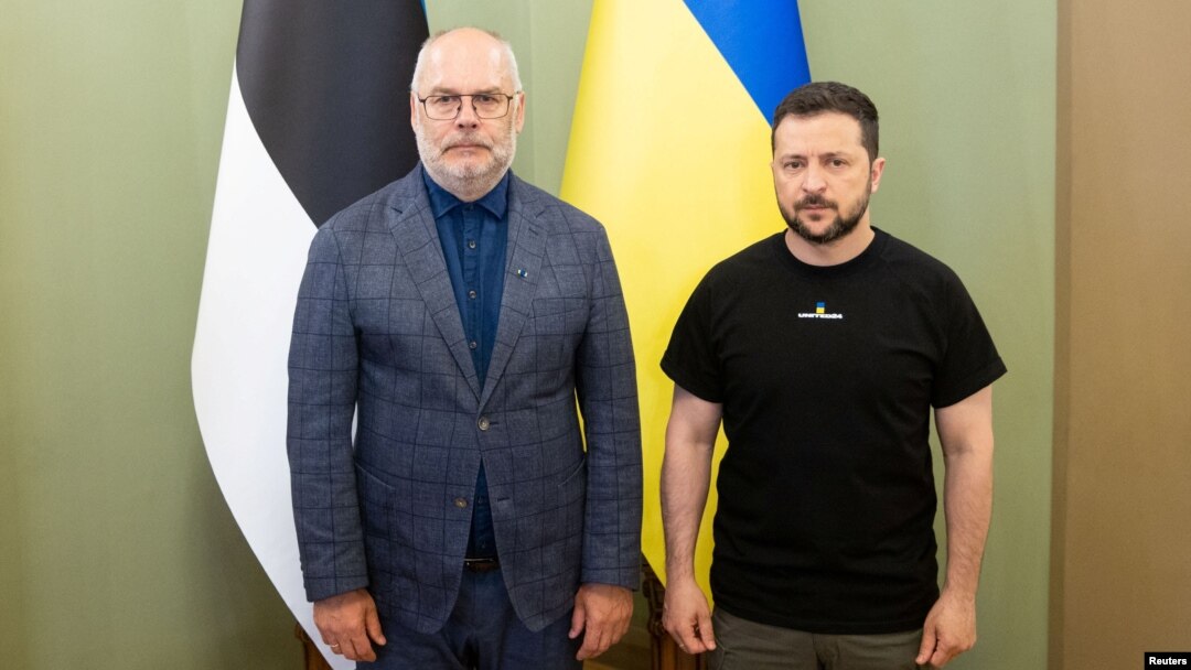 Президент Украины Владимир Зеленский и президент Эстонии Алар Карис перед совместным брифингом для прессы в Киеве, Украина, 2 июня 2023 года.