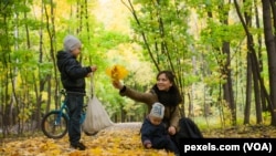 Playing in autumn leaves is a popular activity for children and families.