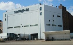 미국 사우스다코타주 수폴스에 위치한 '스미스필드' 육류 공장.