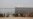 Migrants Reach US-Mexico Border, Likely Face Long Wait