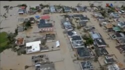 اخبار شامگاهی