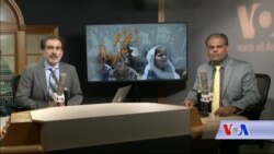 بي بي شیرینه – وي او اې ډيوه په ټیلې ویژن