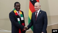ولادیمیر پوتین، رئیس جمهوری روسیه (راست) با همتای زیمبابوه‌ای خود امرسون منانگاگوا در دومین نشست روسیه و آفریقا در سن پترزبورگ (۵ مرداد ۱۴۰۲)