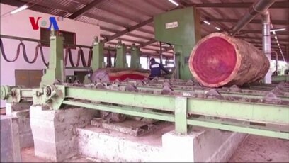 Gabon Committed to Expanding Wood Industry