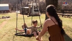 Վայրի դաշտային ծաղիկներ