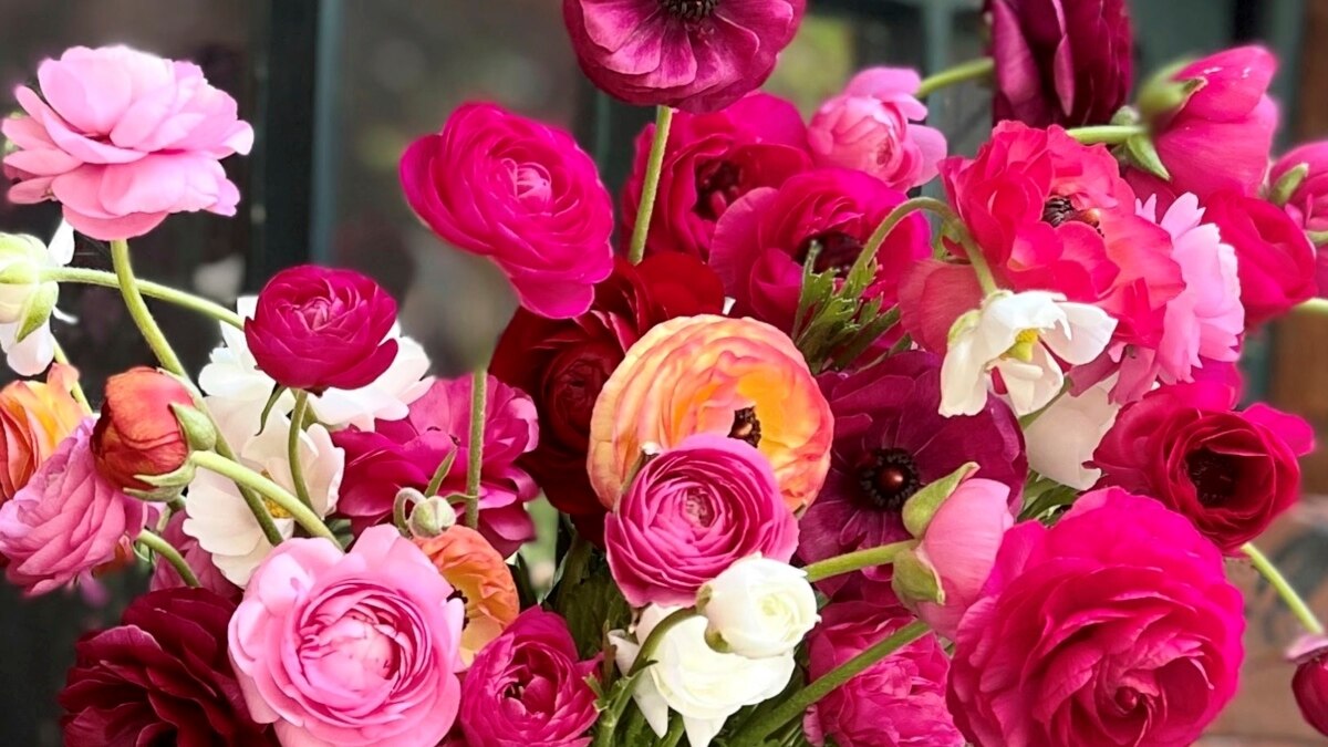 Grow Cutting Garden for Flowers Indoors All Season Long