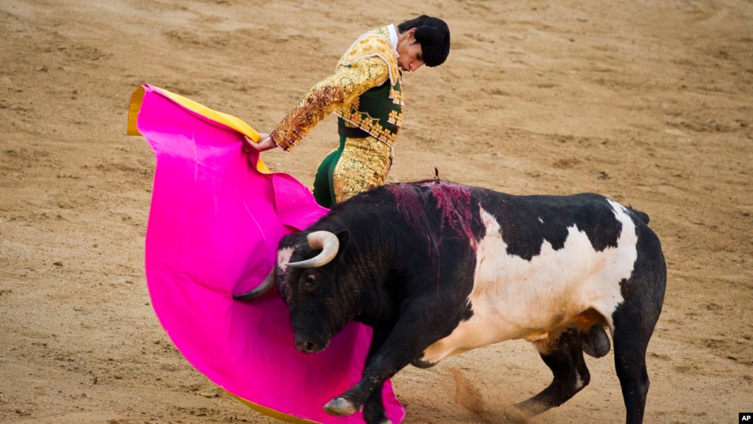 Matador Victor Barrio saat tampil dalam festival San Isidro di stadion adu banteng Las Ventas di Madrid, Spanyol (foto: dok). Barrio tewas akibat ditanduk banteng, Sabtu 9/7. 