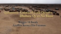 Waggootii Torbaaf Lafa Qonnaaf Iyyannee Deebii Dhabnaan Lafoo Jimmatti Galle:Qubattoota - Kutaa 2ffaa