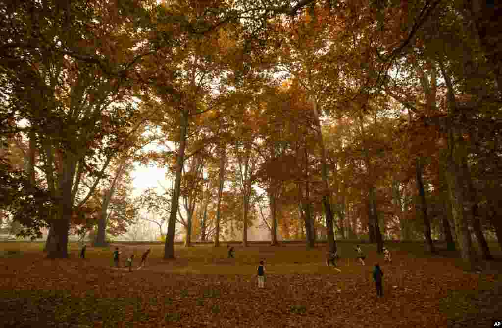 Kashmiri boys play cricket in a garden covered with fallen Chinar leaves on the outskirts of Srinagar, Indian-controlled Kashmir.