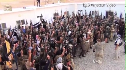 Experts See Rise of ISIS as Significant Development