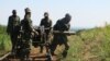 5 morts dans l'offensive qui a tué le chef FDLR