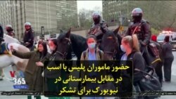 حضور ماموران پلیس با اسب در مقابل بیمارستانی در نیویورک برای تشکر