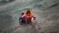 A man carries a child as they try to reach a shore after falling into the sea while disembarking from a dinghy on which they crossed a part of the Aegean sea with other refugees and migrants, from Turkey to the Greek island of Lesbos, Jan. 3, 2016.