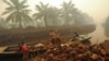 Seorang pekerja menurunkan buah kelapa sawit di perkebunan kelapa sawit di Gambut Jaya, Provinsi Jambi. (Foto: Antara/Wahyu Putro A via REUTERS)