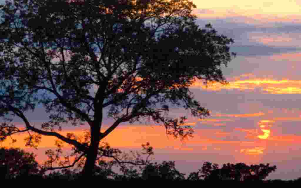 Atardecer en Sudáfrica, pronto después de dos días de descanso la acción continuará.