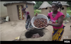 Perempuan di utara Ghana sebagai upaya mencari bahan-bahan mentah untuk menghasilkan sejumlah produk, seperti shea butter, sebagai ilustrasi. (Foto: VOA)