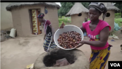 Shea butter is one potential export for the Ivory Coast. 