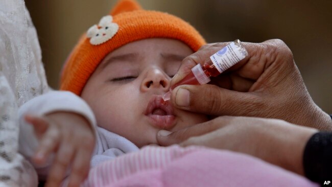 FILE - A health worker administers a polio vaccine to a child, in Karachi, Pakistan, Monday, Dec. 13, 2021. (AP Photo/Fareed Khan/File)
