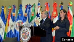 El secretario general de la OEA advierte que aunque el tema de Venezuela no está en la agenda de la Asamblea, sí se tratará en las conversaciones informales.