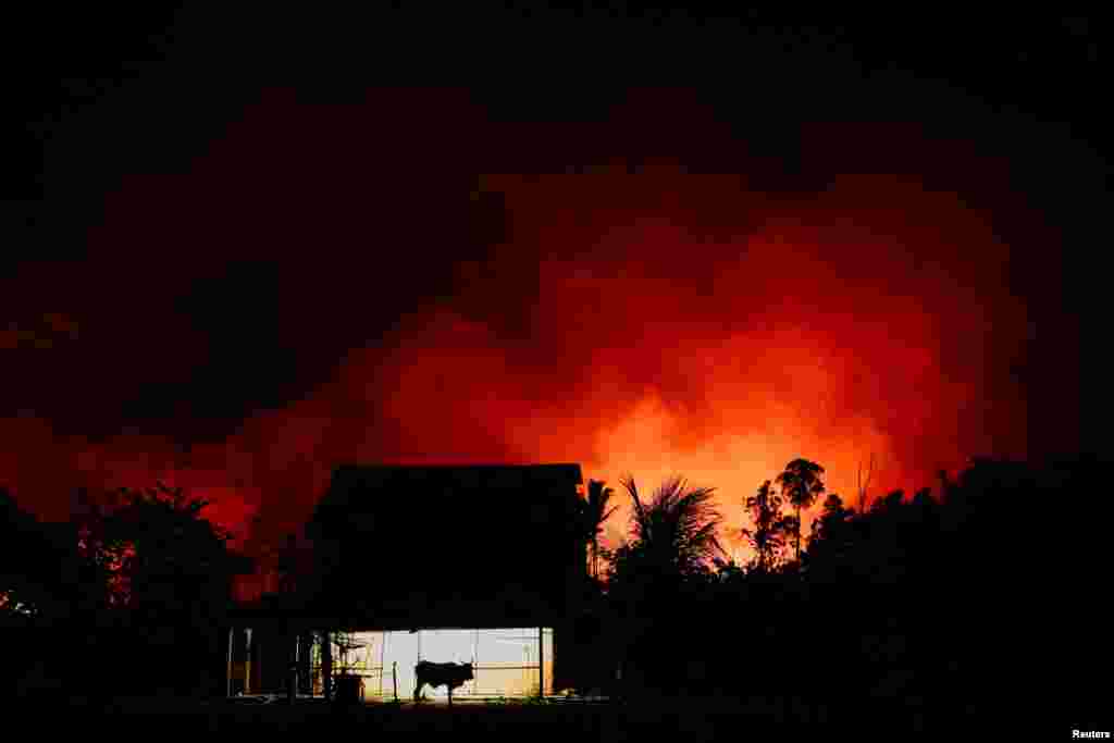 Vista de una finca cerca de un incendio forestal en la Amazonía en un área de la Carretera Transamazónica, estado de Amazonas, Brasil (REUTERS).