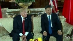 Trump Defends China Policies as Necessary to Contain North Korea