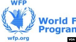WFP inoti kunaya kwakaita mvura zvakanaka gore rino kunogona kubatsira mukuderedza nzara